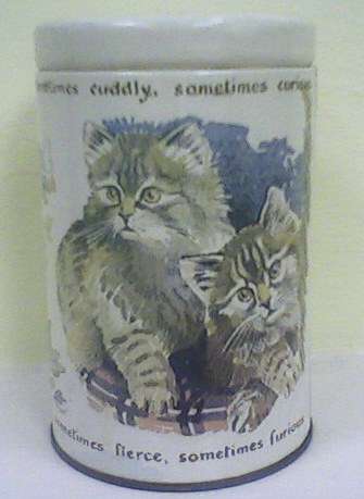 Lovely cat tin