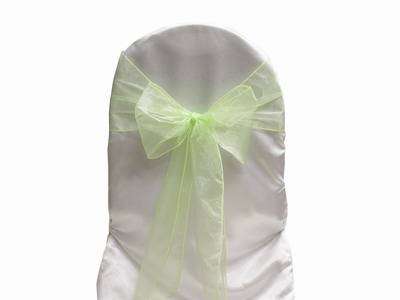 Organza Tie Backs - Apple Green.
