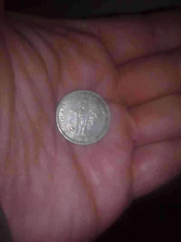 50 % SILVER =Scarse##-1955 -SA union Shilling -not many on BOB