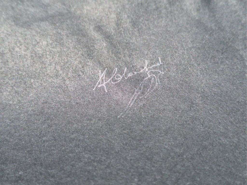 Frans Claerhout - Flowers - Signed on back in pencil - 64cm x 45cm Acrylic on paper.