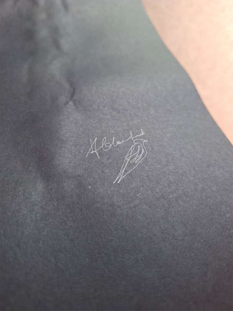 Frans Claerhout - Flowers - Signed on back in pencil - 64cm x 45cm Acrylic on paper.