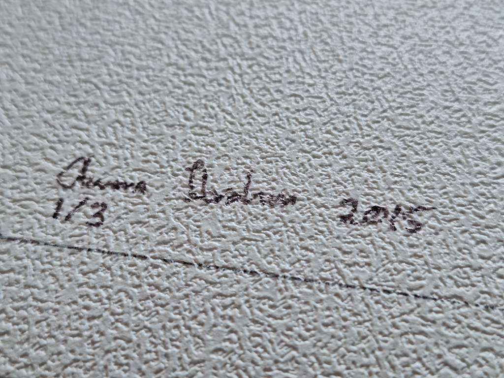 Anna Ibrahim - Addo Elephant / 40cm x 40cm signed print marked 1/3