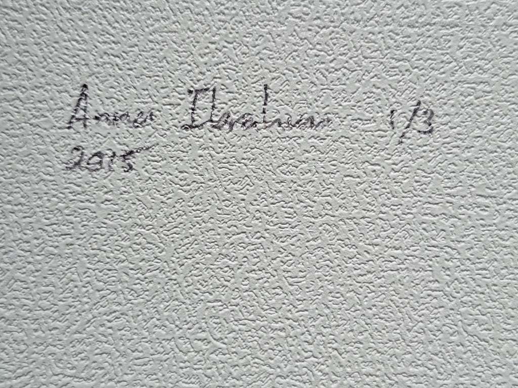 Anna Ibrahim - King Protea / 40cm x 40cm signed print marked 1/3