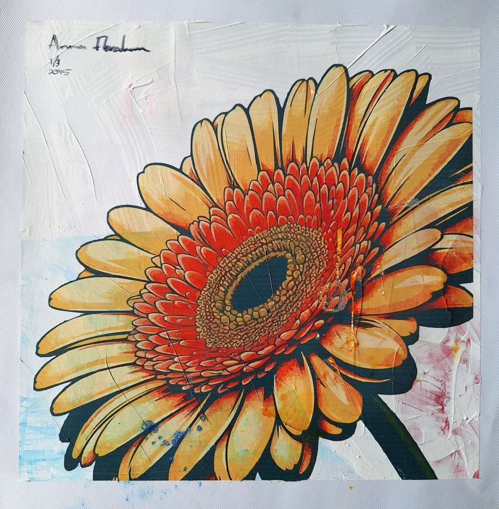 Anna Ibrahim - Gerbera Daisies / 25cm x 25cm Mixed media, signed and dated marked 1/3
