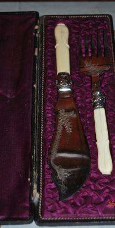 STAINLESS STEEL BONE HANDLE CAKE & KNIFE SET