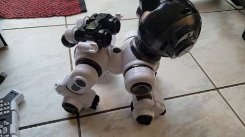 Crazon Ir Intelligent Robot Dog