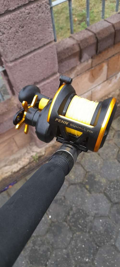 Fishing rod and reel