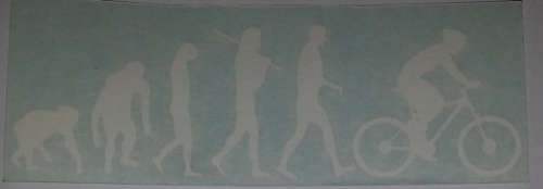 Cool Vinyl Sticker for your Car