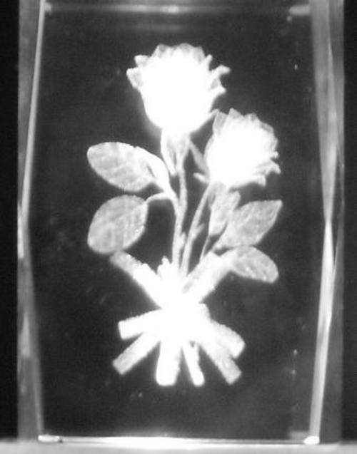 BEAUTIFUL DECORATIVE 3D CRYSTAL ETCHING (Rose)