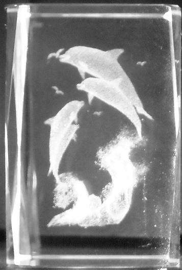 BEAUTIFUL DECORATIVE 3D CRYSTAL ETCHING (Dolphin)