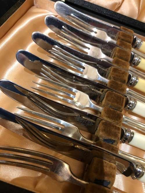 Bone handled cutlery set