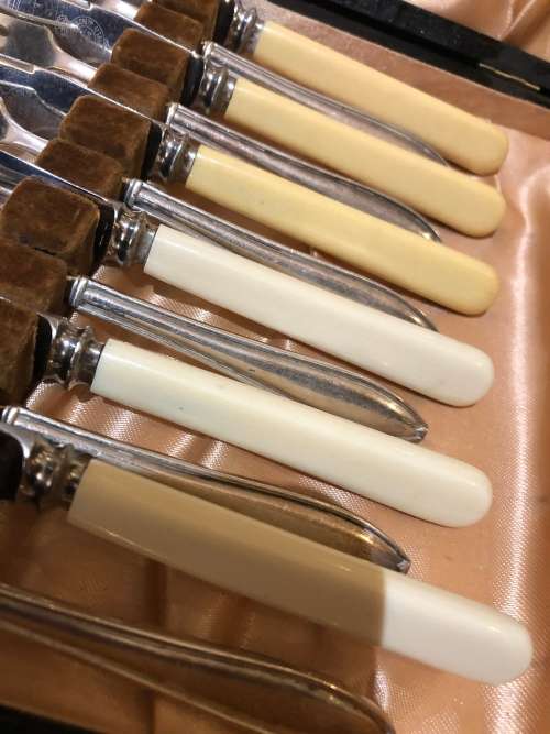 Bone handled cutlery set