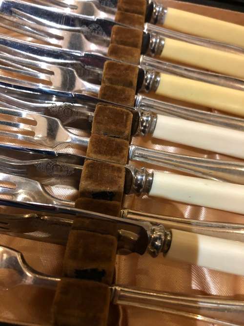 Bone handled cutlery set