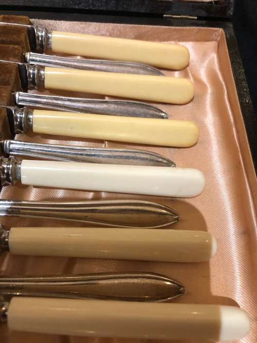 Bone handled cutlery set