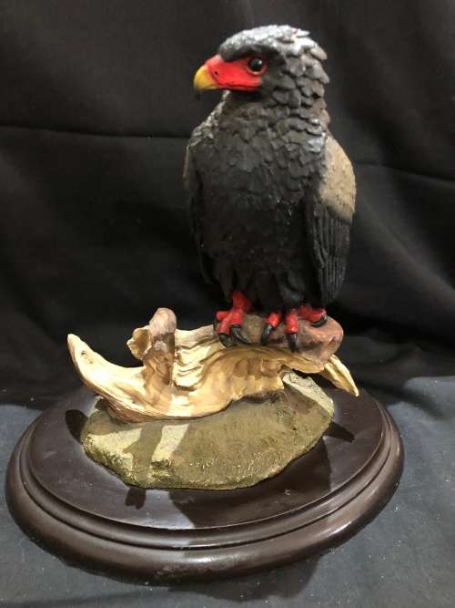 Feathers of Knysna(MUS491)