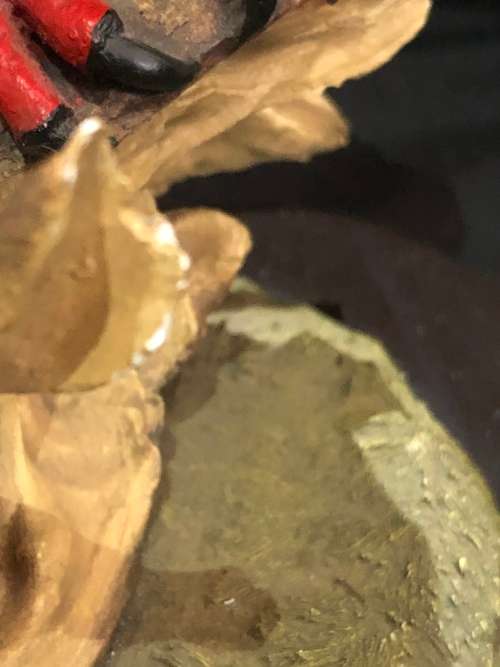 Feathers of Knysna(MUS491)