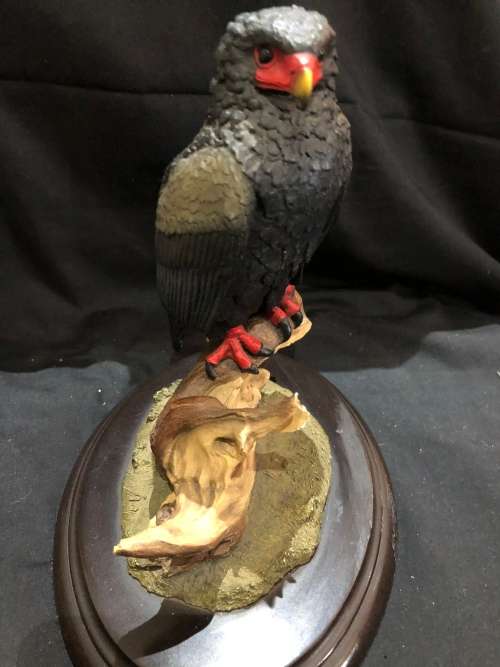 Feathers of Knysna(MUS491)