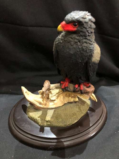 Feathers of Knysna(MUS491)