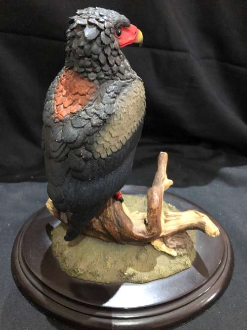 Feathers of Knysna(MUS491)