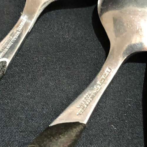 Eetrite Moderna dinner spoons(CUT606)