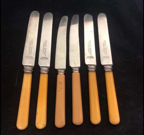 Bone handled knives(CUT1509)