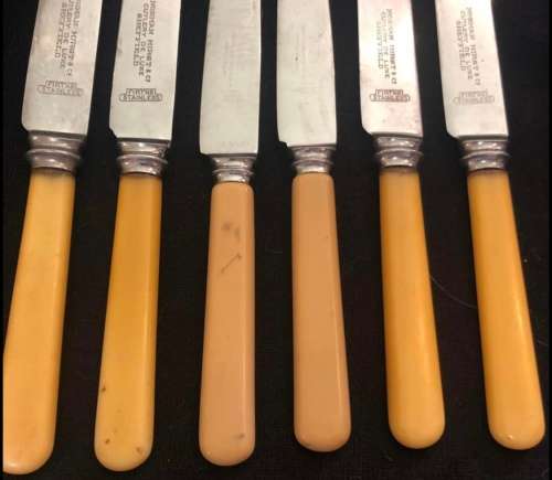 Bone handled knives(CUT1509)