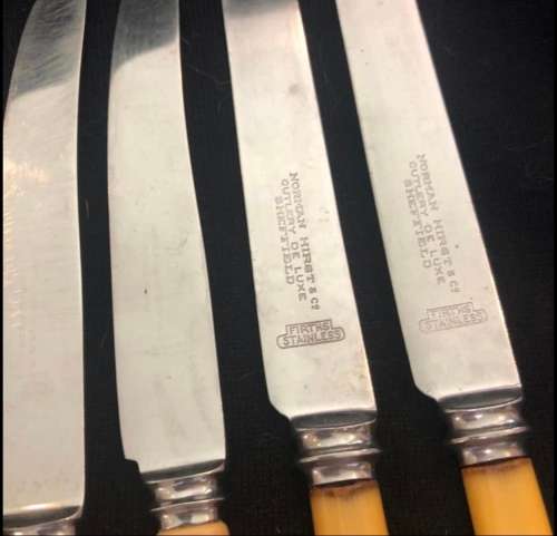 Bone handled knives(CUT1509)