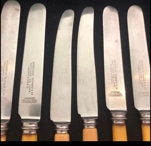 Bone handled knives(CUT1509)