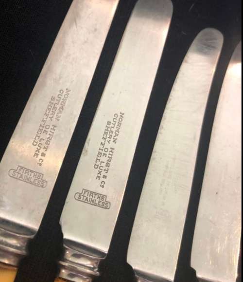 Bone handled knives(CUT1509)