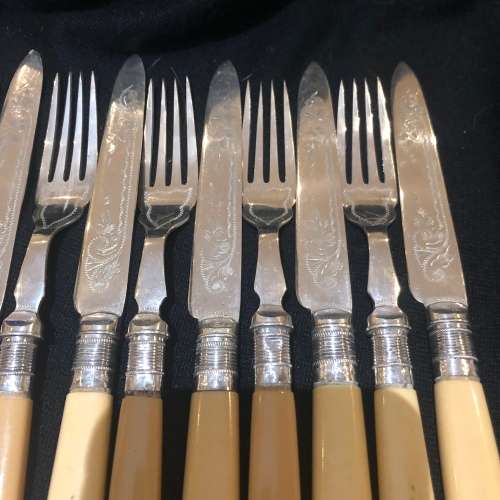 Bone handled cutlery set(CUT EE)