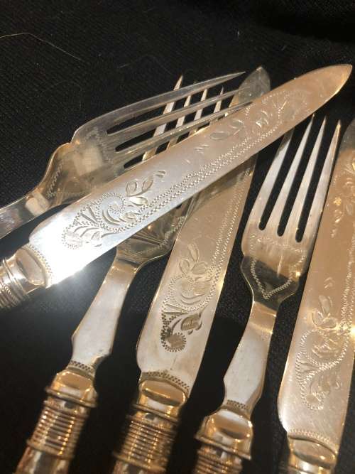 Bone handled cutlery set(CUT EE)