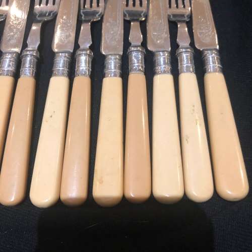Bone handled cutlery set(CUT EE)
