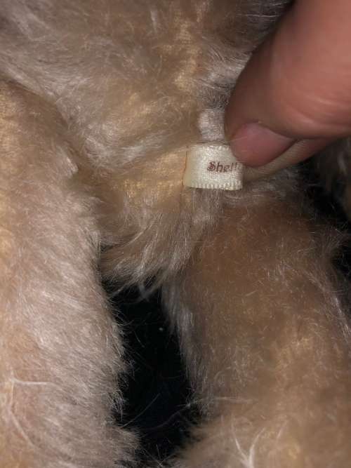 Teddy Bear Shelley collectable