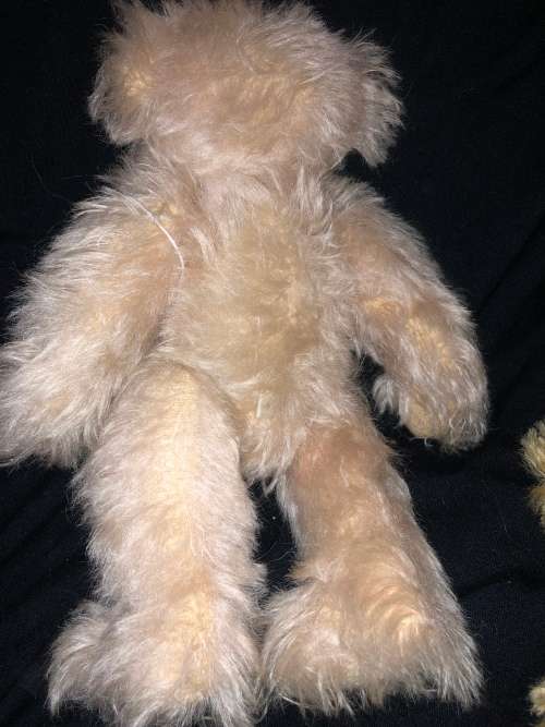 Teddy Bear Shelley collectable