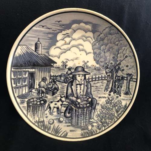 Delft plate(D)