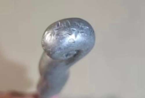 Letter opener Carrol Boyes (B)