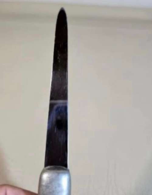 Letter opener Carrol Boyes (B)