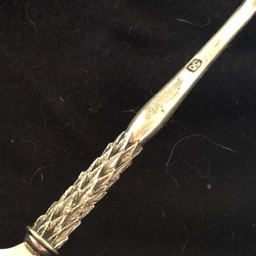 Diana Carmichael crystal sugar spoon