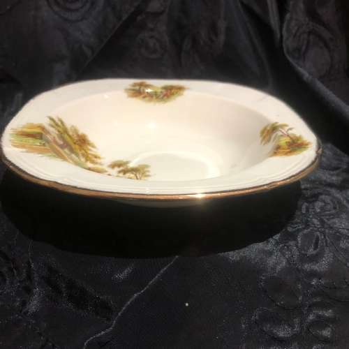 Bowl dessert /breakfastAlfred Meakin Hayride bowl