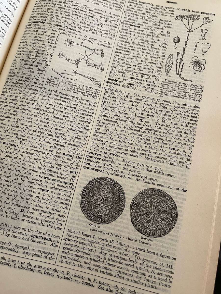 New Century Dictionaries