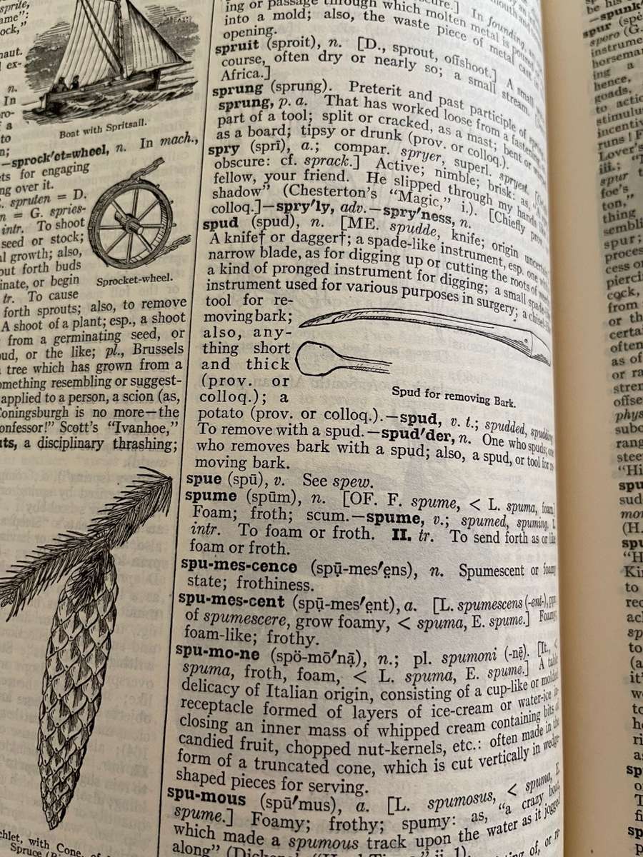 New Century Dictionaries