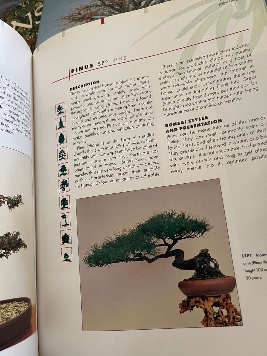 Bonsai trees books x3