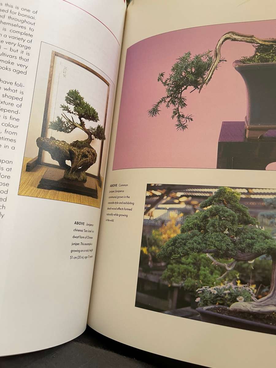 Bonsai trees books x3