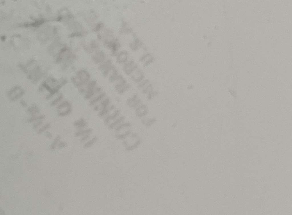 Oven dish Corningware(E)