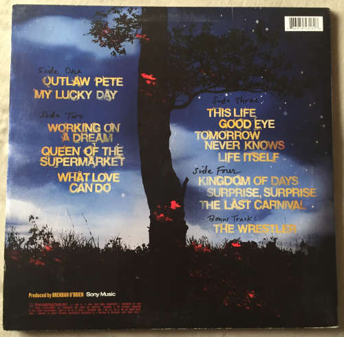 Bruce Springsteen - Working On A Dream Double Lp