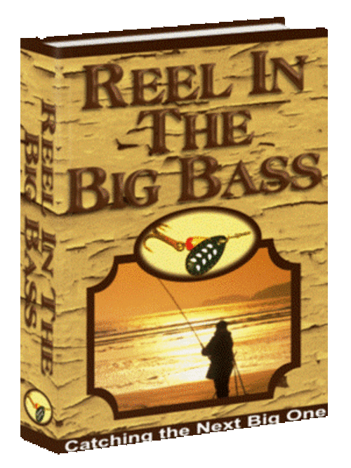 Reel in The Big Bass - FREE DOWNLOAD/1000 FREE on CD - Sport, Leisure