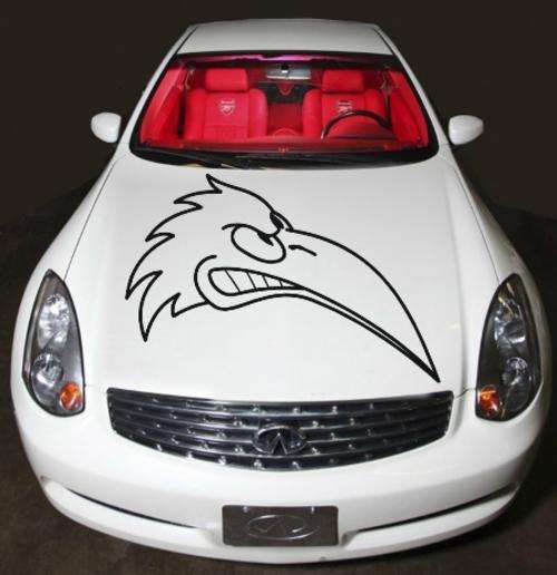 VINYL DECAL - ANGRY BIRD FOR YOUR CAR - Various Sizes available