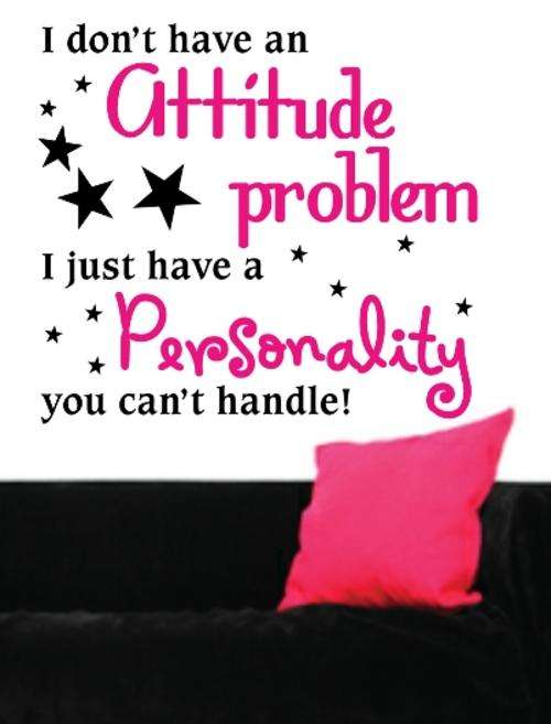 VINYL DECAL - ATTITUDE AMUSING QUOTE TYPE 2 - WALL ART - CHOOSE COLOUR*