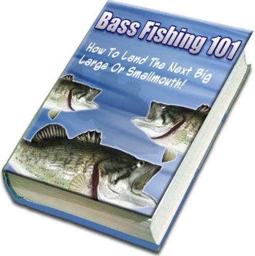 How To Catch The Next Big One! on CD + Free Ebooks