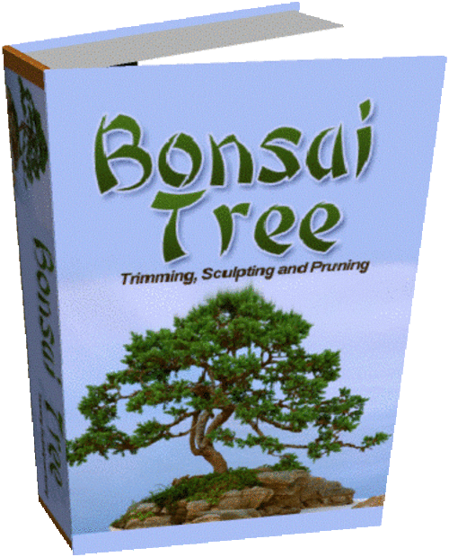 Grow Your Own Bonsai on CD + Free Ebooks